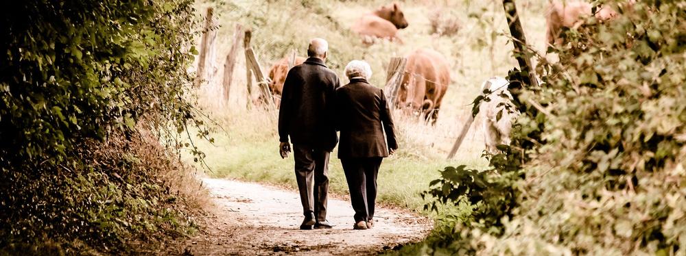 Increase in Power of Attorney use In this article Rose & Trust of Bristol look at the increase in use of Lasting Power of Attorney and potential problems with their use